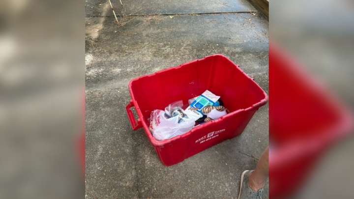 Texas Homeowner Discovers A Mysterious Bin In The Yard And A Tiny Face Peeking Out