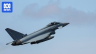 Germany sends planes to track Russian military aircraft as Trump vows to defend Baltic states