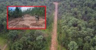 Localizan pista clandestina en Choix: militares la destruyen para frenar vuelos del crimen organizado