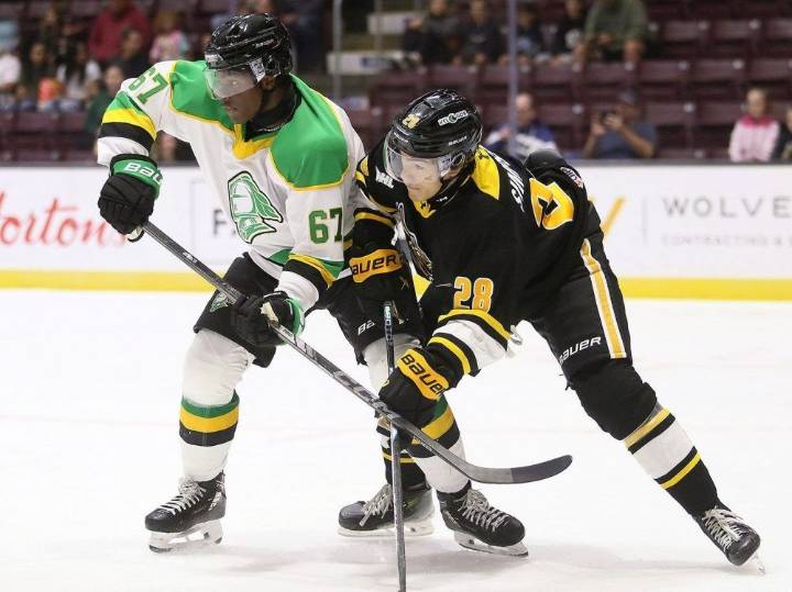 Sarnia Sting face tough roster decisions