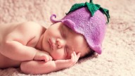 Virgin Births Nothing Rare in Mennonite Country