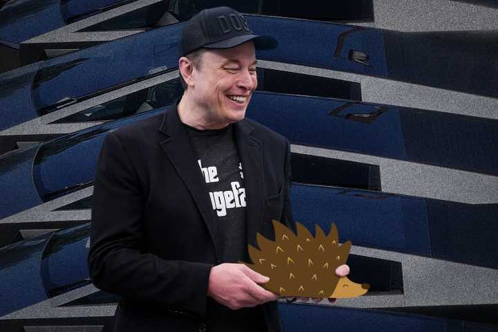 Elon Musk: The next phase of the Tesla CEO's fandom is sadder than you think.