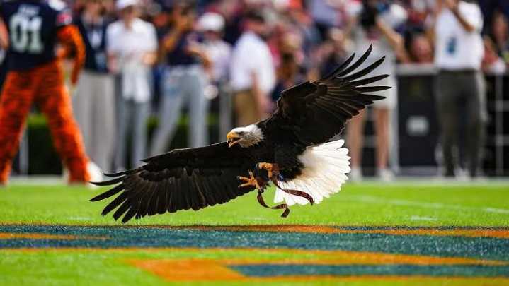 Top 10 things for Sooner fans to know about Auburn