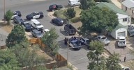 APD investigates homicide; police say victim suffered multiple stab wounds