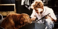 Before 'Good Boy,' Watch the Underrated Sci-Fi Horror Movie 'Watchers'