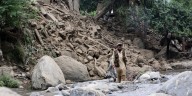Afghanistan earthquake death toll passes 1,400, Taliban government spokesman says