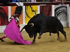 Prohibición de las corridas de toros en Colombia