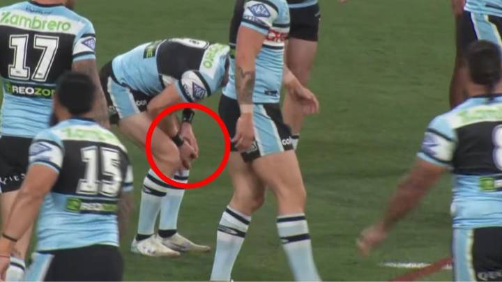 Cronulla hooker Blayke Brailey fine after injury scare during warm