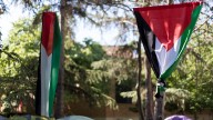 La Universidad de Granada se suma a las voces que piden a Israel que cese el genocidio en Palestina