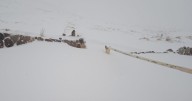 Grupo de personas queda aislado en pozas termales del Cajón del Maipo tras caída de nieve