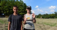 Family unearths nearly 3-carat brown diamond at Arkansas state park