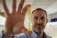 Warming seas threaten key phytoplankton species that fuels the food web, study finds