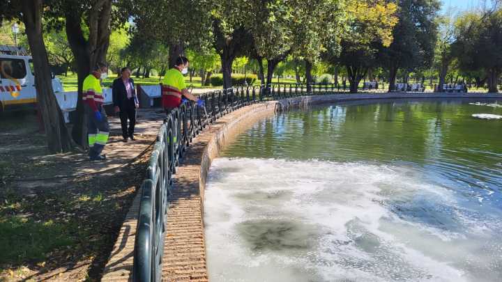Andalucía confirma su primer caso de virus del Nilo en humanos de esta temporada