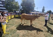 Los ganaderos de Villaviciosa ven un futuro «agridulce» para el sector