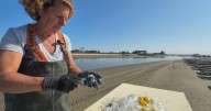 N.J. oyster farmer Lisa Calvo, Philadelphia chef Valerie Erwin among honorees at 2025 Heritage Dinner