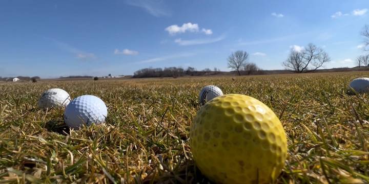 Glow golf tournament to benefit Caruthersville Humane Society