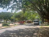 Desalojan centro comercial Zulia por enjambre de avispas