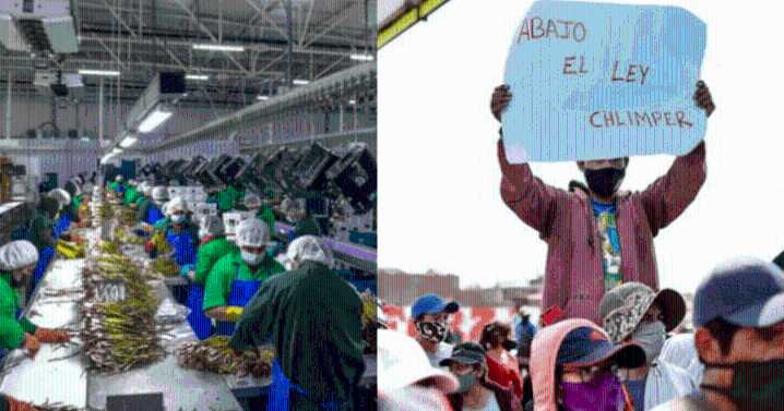 Nueva Ley Agraria: gremios advierten retroceso en derechos laborales y fiscalización