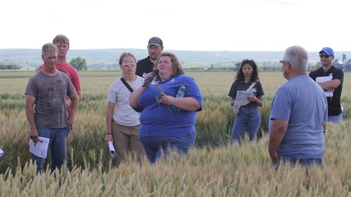 SDSU Extension programs help producers maintain healthy crops
