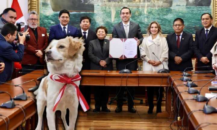 Congreso declara al perro pastor Chiribaya como Patrimonio Cultural de la Nación