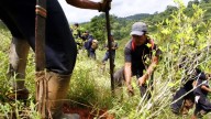 ¿Pesará el lobby y la posibilidad de retomar la aspersión con glifosato en la decisión de EE. UU. sobre la certificación de Colombia?