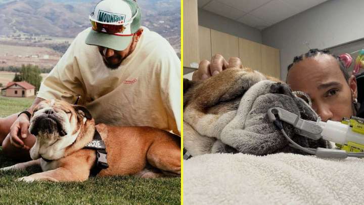 "La decisión más difícil de mi vida": La desgarradora despedida de Lewis Hamilton a su perro fallecido