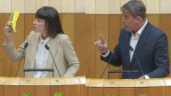 BNG e PSdeG responsabilizan a Rueda da xestión dos incendios e pídenlle que dimita