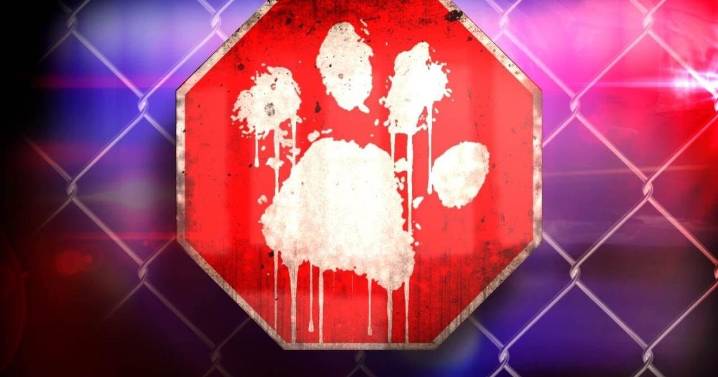 Sale Creek man arrested after shooting dog, pointing gun at minor