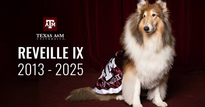 Texas A&M announces the passing of Reveille IX over the weekend
