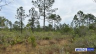 Graham Creek Nature Preserve to expand in Foley