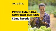 Programa ayuda a jóvenes a comprar terrenos rurales: Así funciona la iniciativa