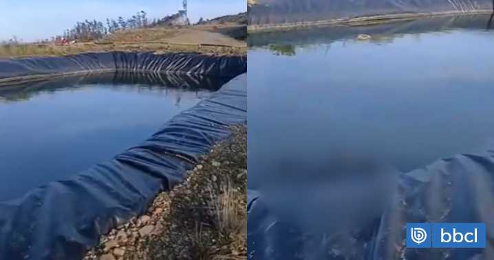 Hallan una docena de perros muertos en piscina que almacena aguas lluvias en Coronel