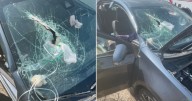 Utah driver impaled by rebar pipe on US