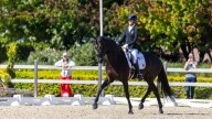 Hat-trick of golds for rider at European Para Dressage Championships
