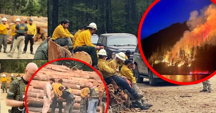Agentes de ICE arrestan a dos bomberos en proceso de contener un incendio en Washington; pidieron que se ‘verificaran’ identidades de 44 trabajadores