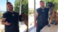 Si hablas a tu perro como si fuera un bebé, estás en serios problemas: lo dice el entrenador de perros Alejandro Flores