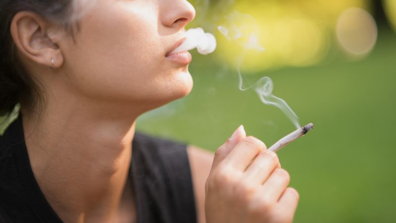 Marijuana may cause chromosomal defects in human egg cells, study finds