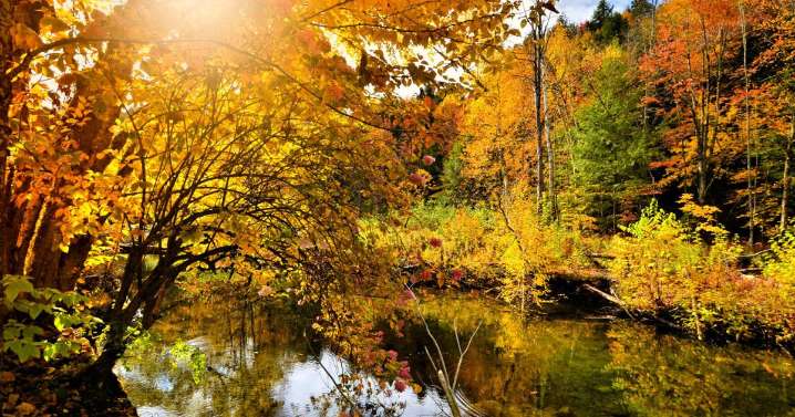 Taking the kids: Leaf-peeping 21st