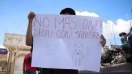 Justicia para la perrita embestida en el Encierro San Marqueño; Asociación Ángeles con Patitas presenta denuncia