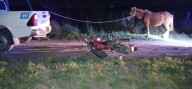 TRES ISLETAS: Motociclista en Estado de Ebriedad Chocó contra un Caballo en Colonia Lalelay