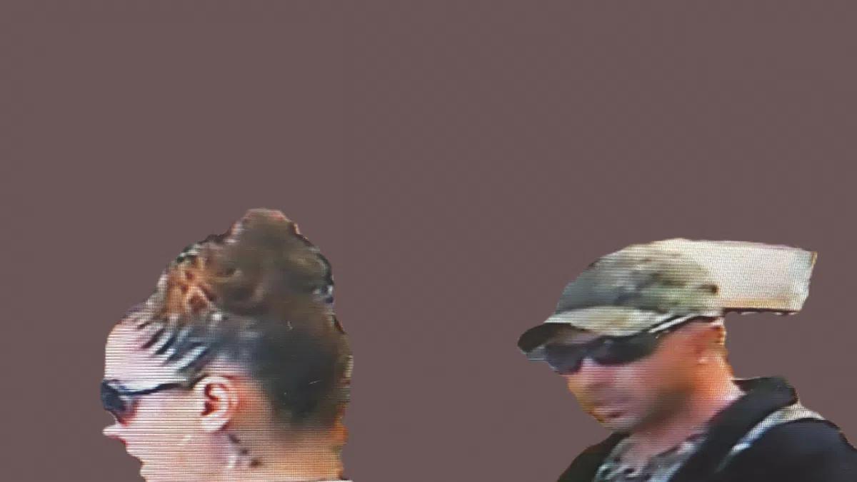 OPP Investigate Theft From Sauble Beach Business