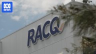 ASIC accuses RACQ of misleading customers over insurance renewal notices in Federal Court action
