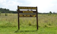 Convocan a voluntarios para restaurar el pastizal pampeano en la Reserva de Pila
