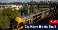 Sydney trains review LIVE: NSW Government reports scathing findings from overhead wiring bungle at Homebush
