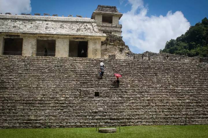 Palacio en la Zona Arqueológica de Palenque en Chiapas abre sus puertas nuevamente