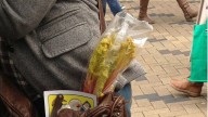 Mennonite Woman Caught Shoplifting Rhubarb