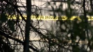 First look at possible 'wooded area' where rifle was found after deadly UVU shooting