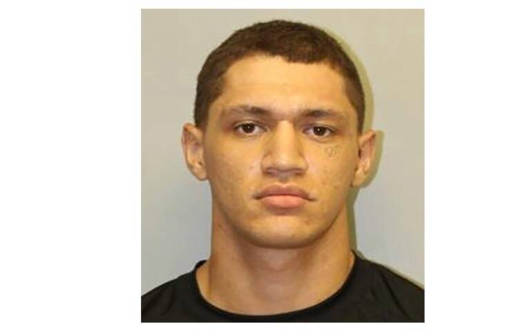 Puna man, 20, faces felony charges in firearms case