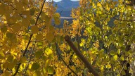 Rocky Mountain National Park falls colors peak viewing 2025