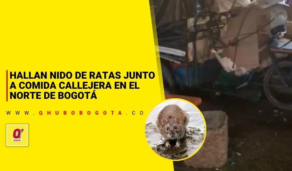 Hallan nido de ratas junto a comida callejera en el norte de Bogotá